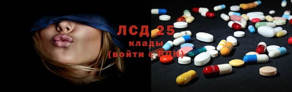 гидра Мурманск